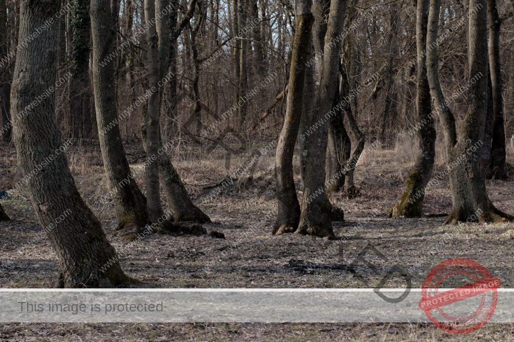 Photo Outdoor Adventure